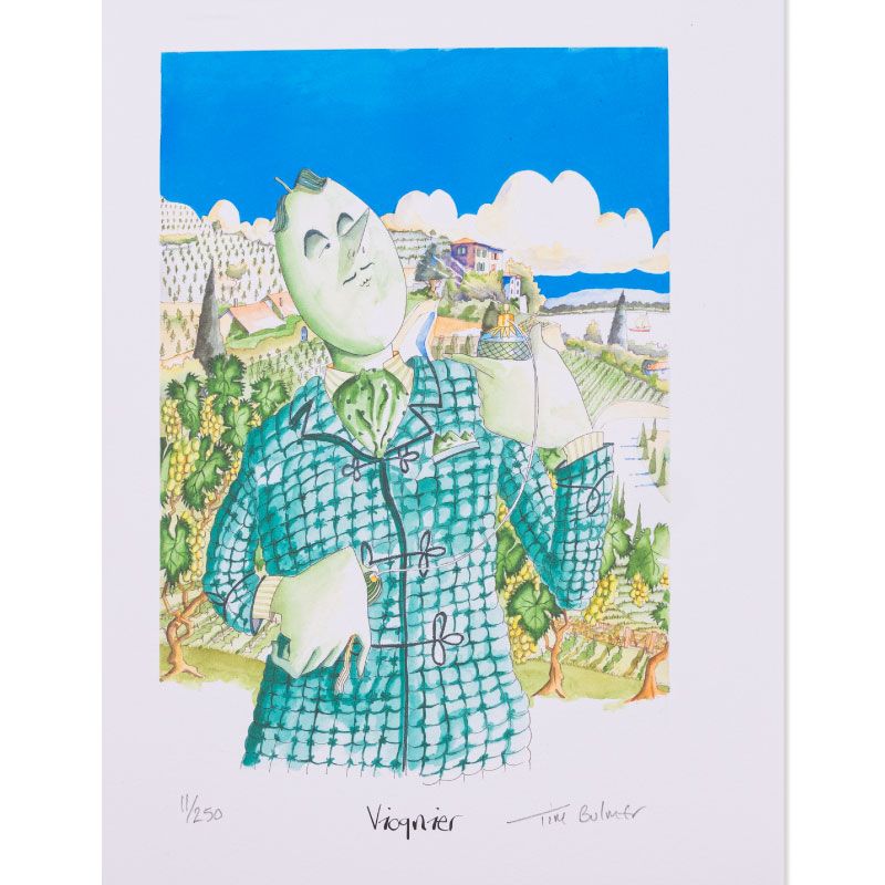 Ilustração Tim Bulmer Viognier