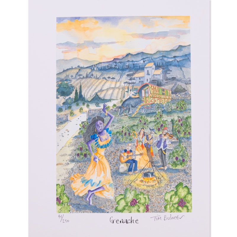 Ilustração Tim Bulmer Grenache
