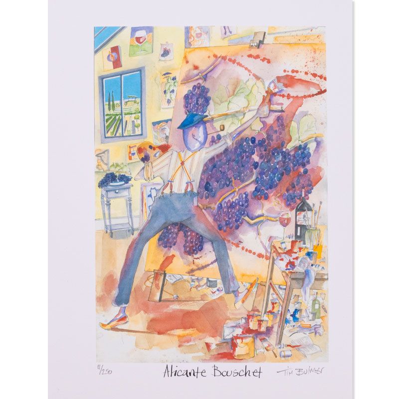 Ilustração Tim Bulmer Alicante Bouschet
