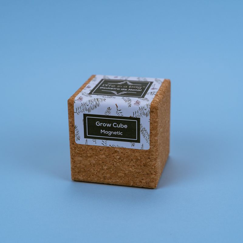 Grow Cube Pinheiro de Natal - Bordallo Pinheiro