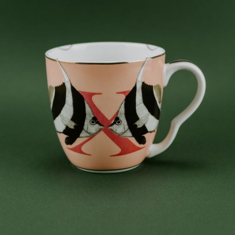 MUG X