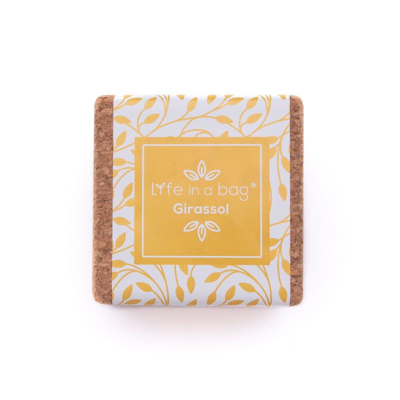 Grow Cube íman Girassol