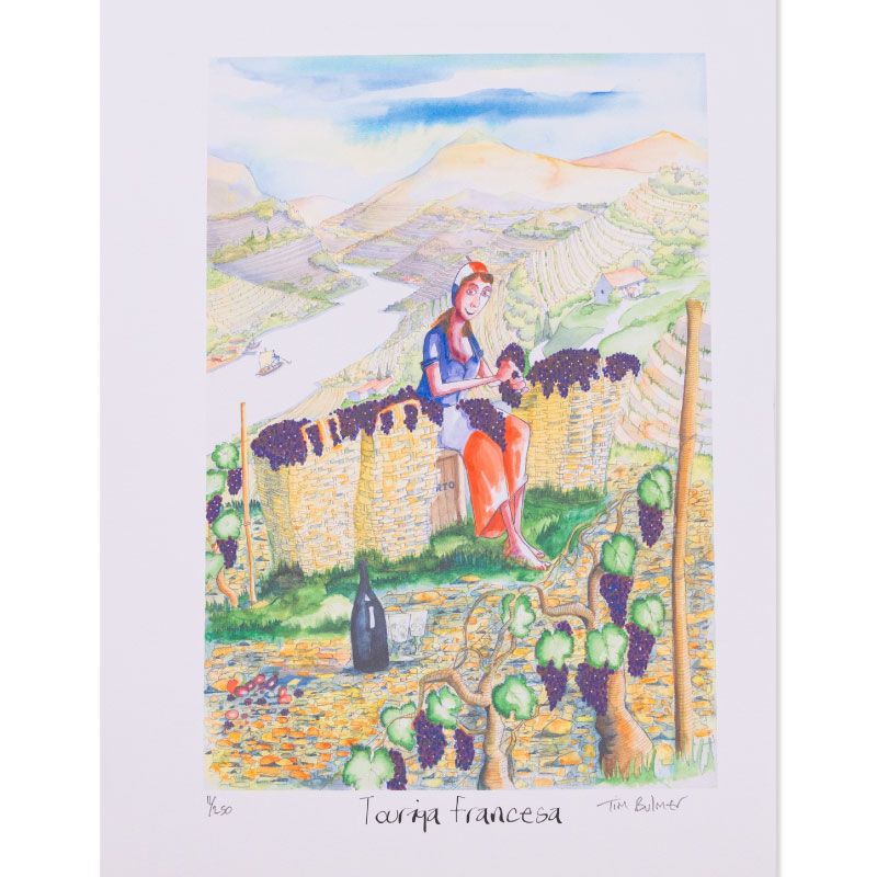 Tim Bulmer Touriga Francesa Clipart Images