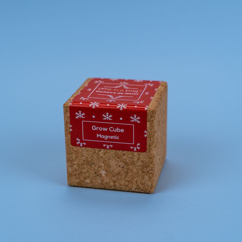Grow Cube Christmas Pine - Bordallo Pinheiro