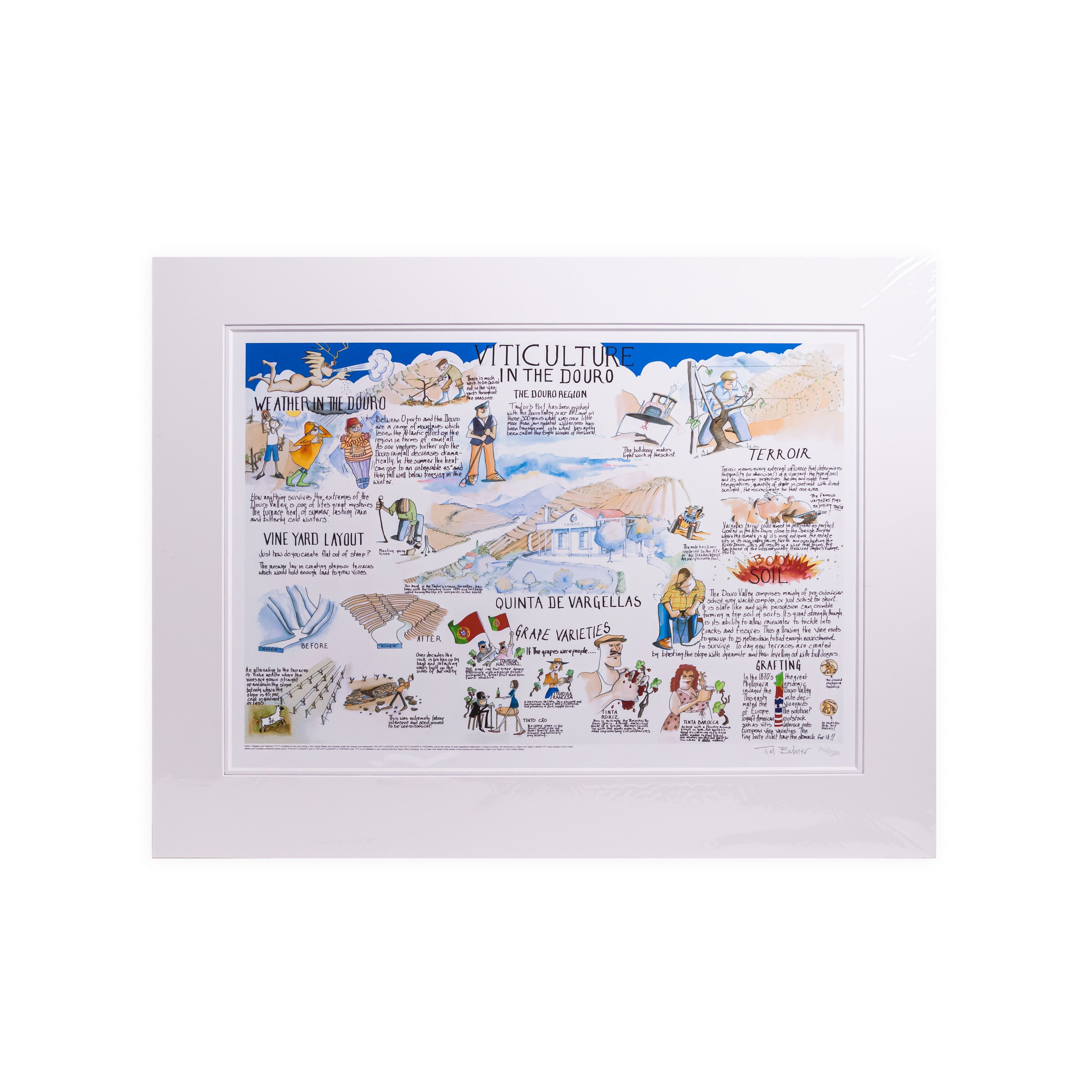 Quadro Tim Bulmer Viticulture in Douro