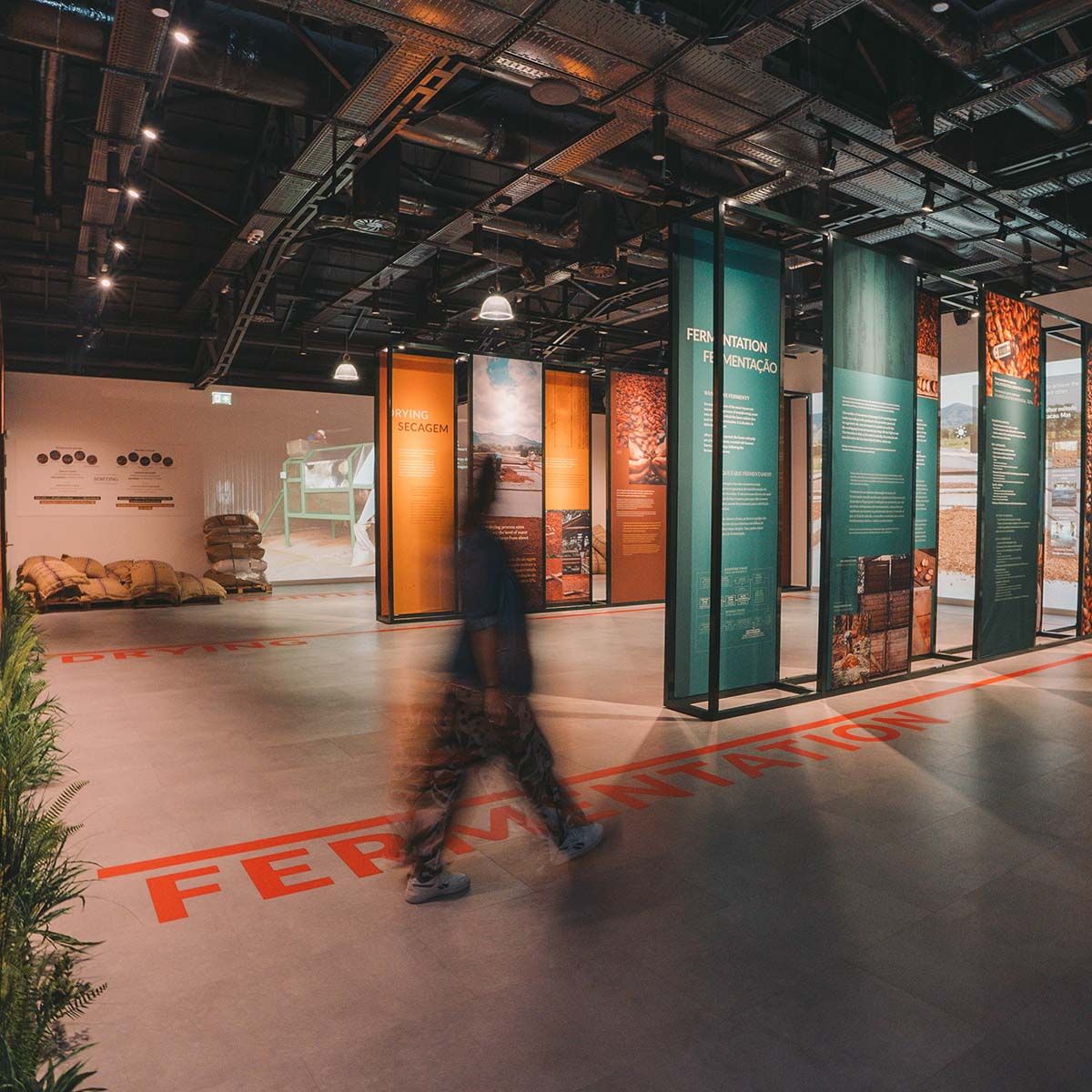 Around the World of Chocolate in 12 Challenges