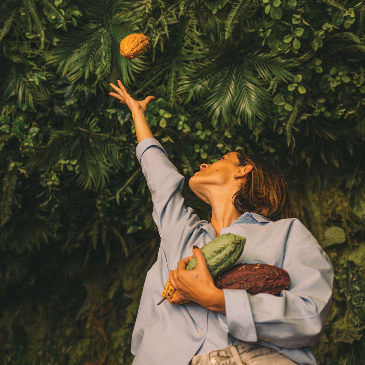 The Chocolate Experience by 20|20