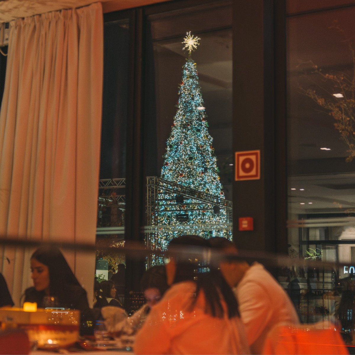 Christmas Lights Dinner in Porto 2026 | WOW
