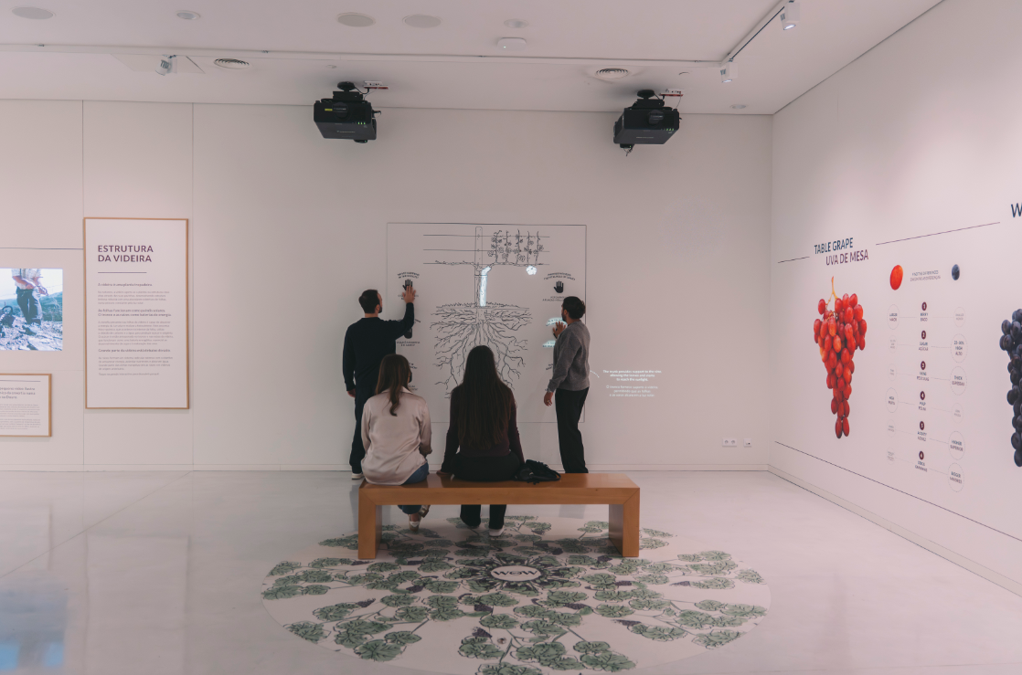 Port and Wine Experience: Porto's Must-Visit Immersive Wine Museum